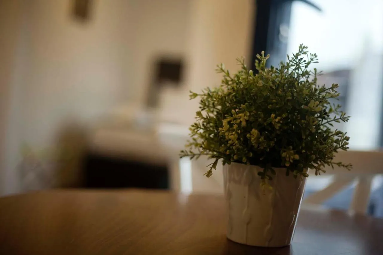Aparthotel Galata Cicek Suites Istanbul